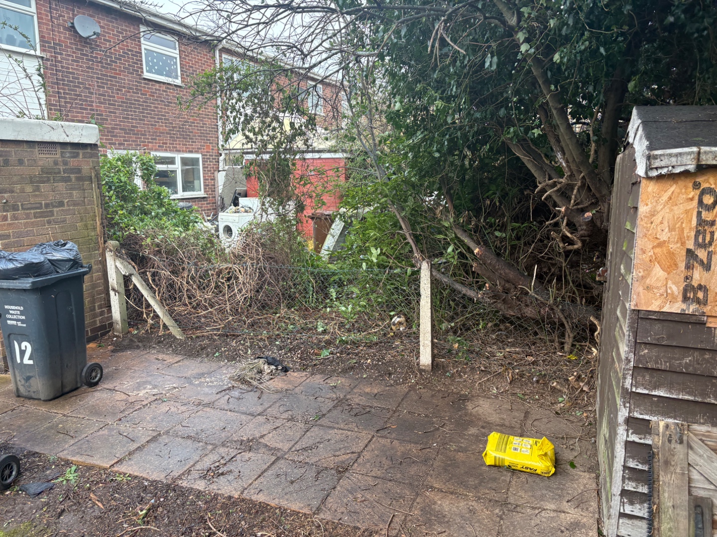Overgrown boundary with damaged wire mesh fence and leaning concrete posts